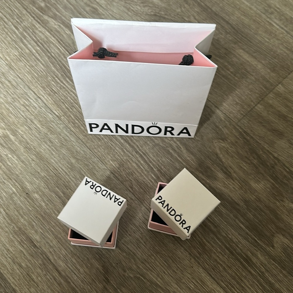 Pandora Packaging - image 4